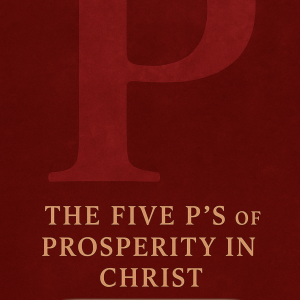 The Five P’s of Prosperity in Christ (ebook)